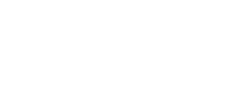 Value Options Logo Horizontal White